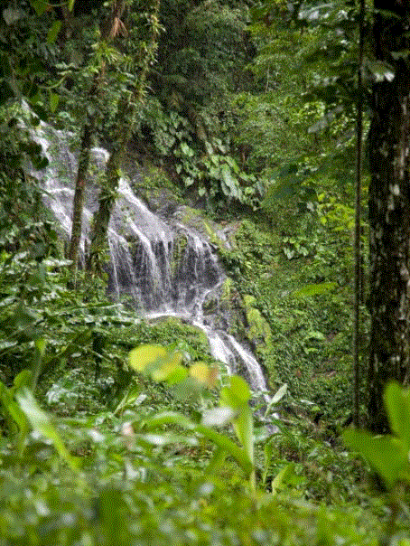Suriname