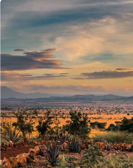 Uganda