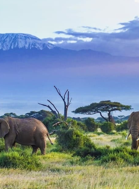 Tanzania