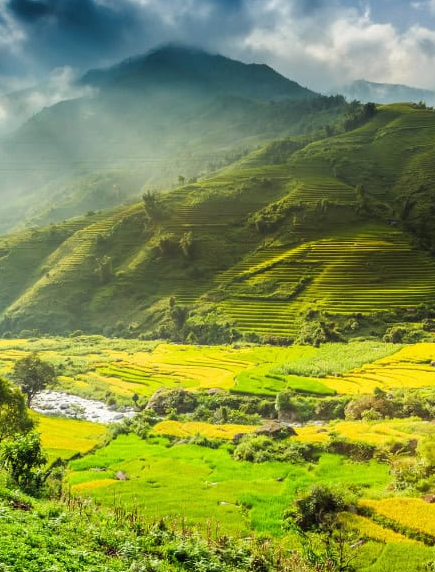 Vietnam